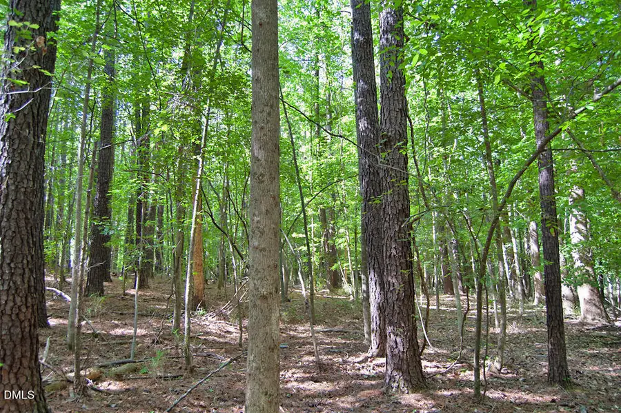 5301 Panther Creek Drive, Raleigh, NC 27603 - #2