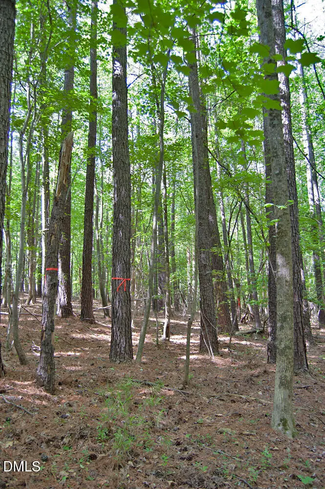 5301 Panther Creek Drive, Raleigh, NC 27603 - #3