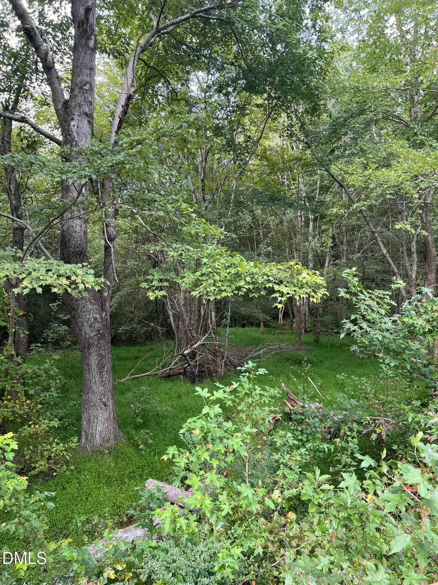 Lot 3 264 Alternate, Bailey, NC 27807 - #2