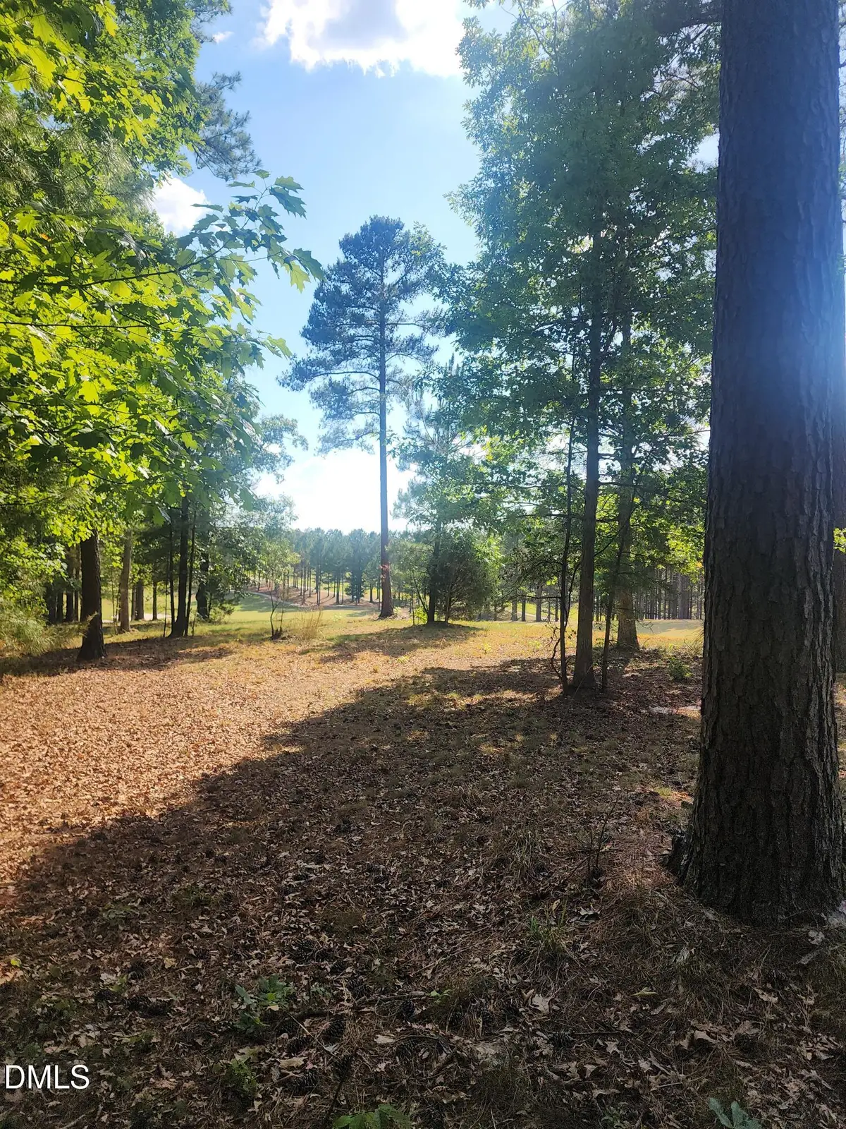 65 High Ridge Lane, Pittsboro, NC 27312 - #1
