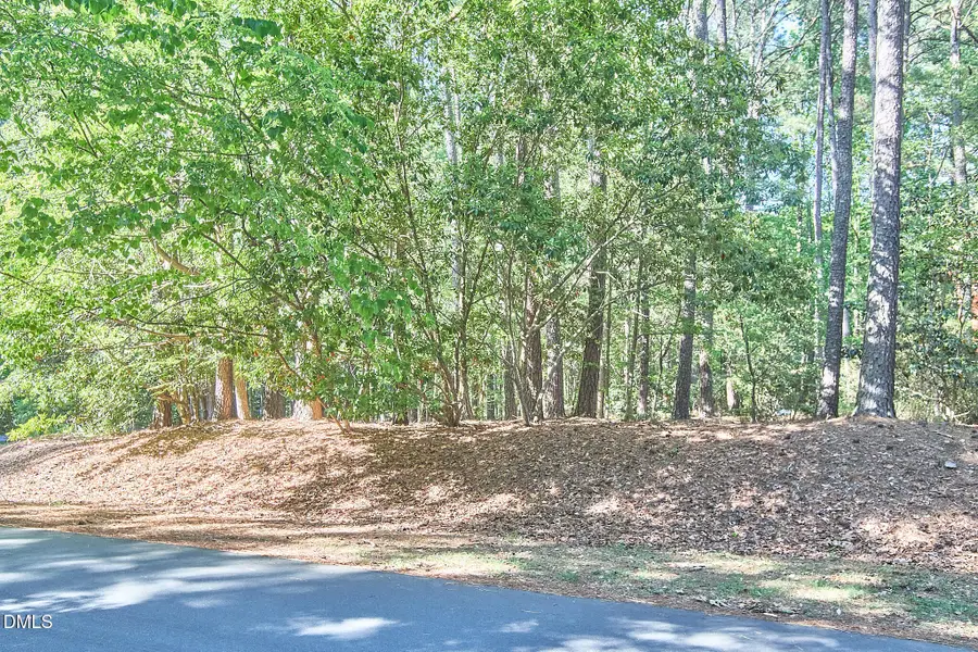 152 Cedar Hills Circle, Chapel Hill, NC 27514 - #3