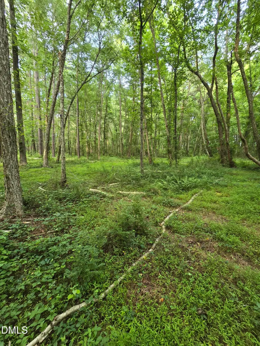 0 Honeycutt Road, Pleasant Grove, NC 27592 - #2