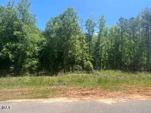 40 Downes Trail, Selma, NC 27576 - #3