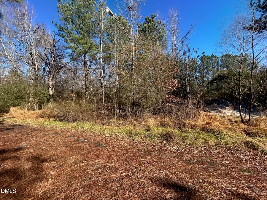 Lot 16 Dove Road, Oxford, NC 27565 - #3