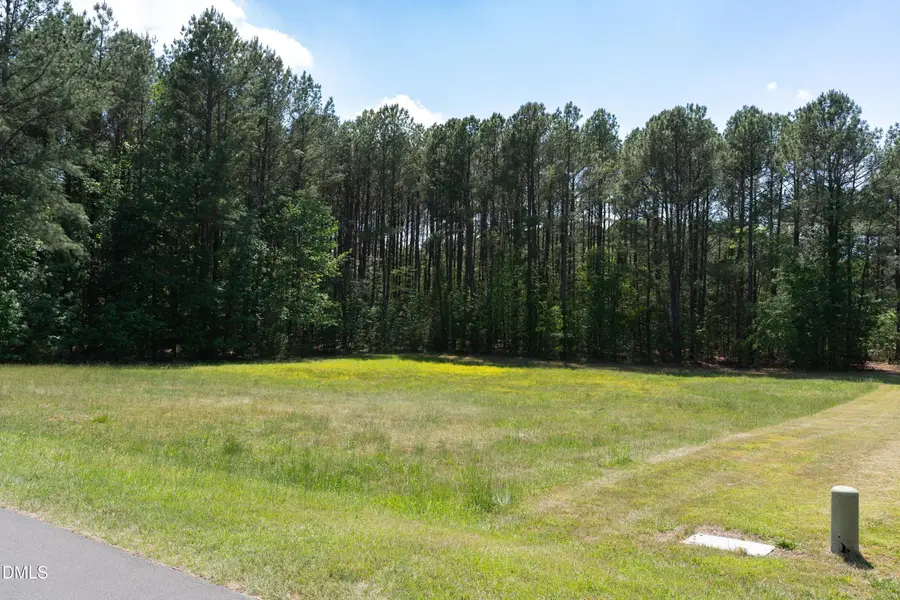 9807 Straightaway Lane, Bahama, NC 27503 - #2
