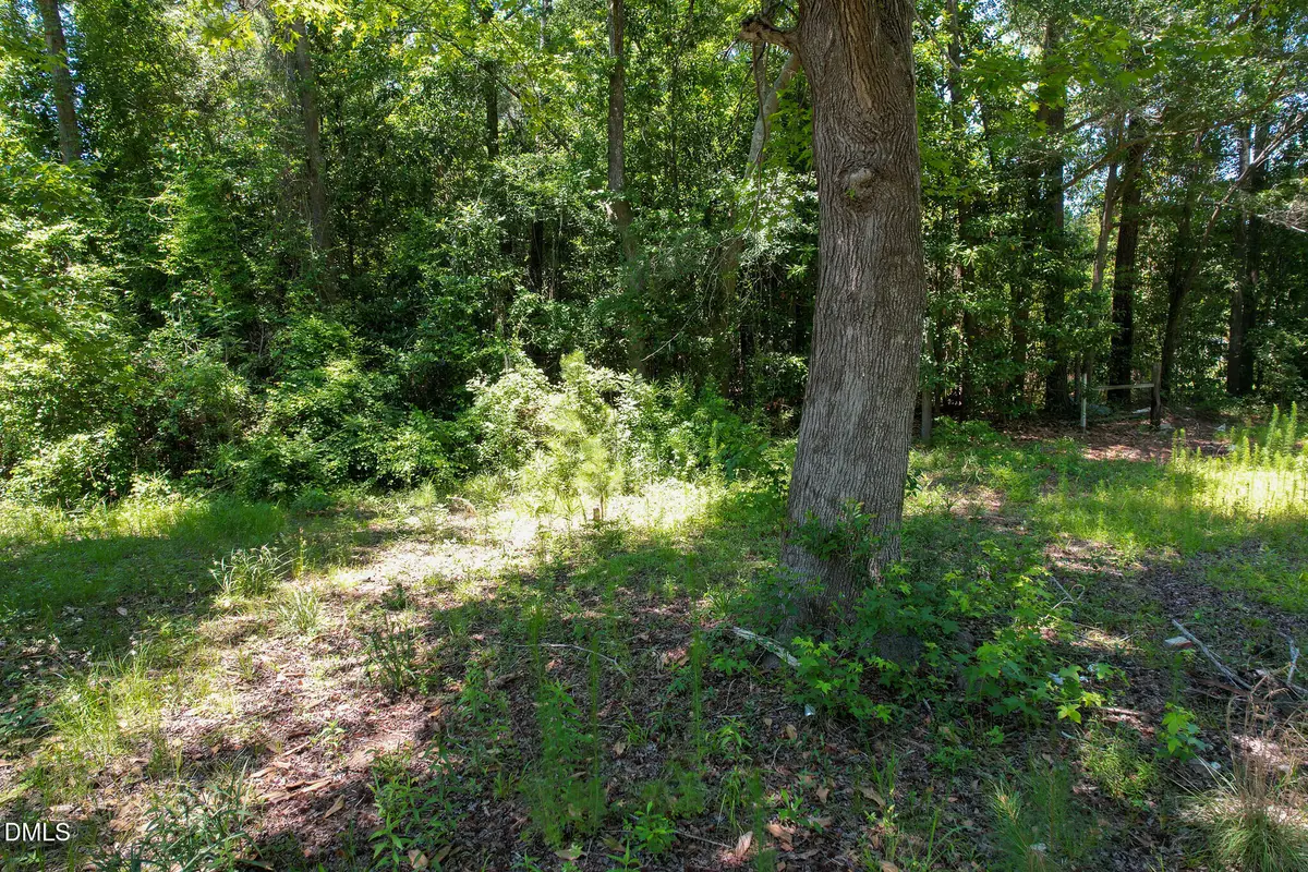 275 Hamer Street, Fair Bluff, NC 28439 - #1