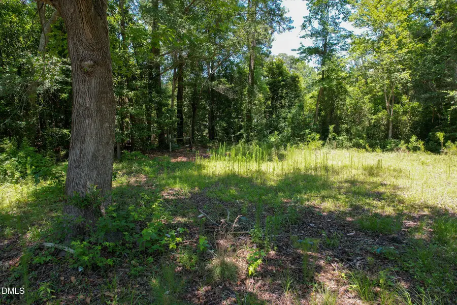 275 Hamer Street, Fair Bluff, NC 28439 - #3