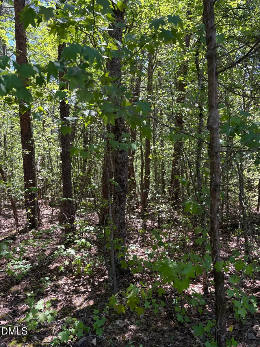0 Moss Creek Drive, Milton, NC 27305 - #2