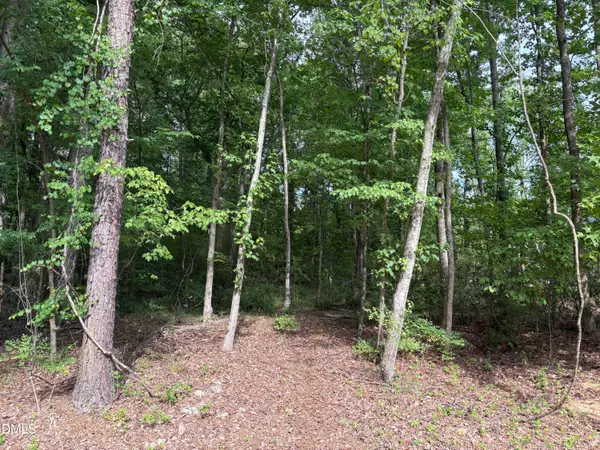134 Mohawk Drive, Louisburg, NC 27549