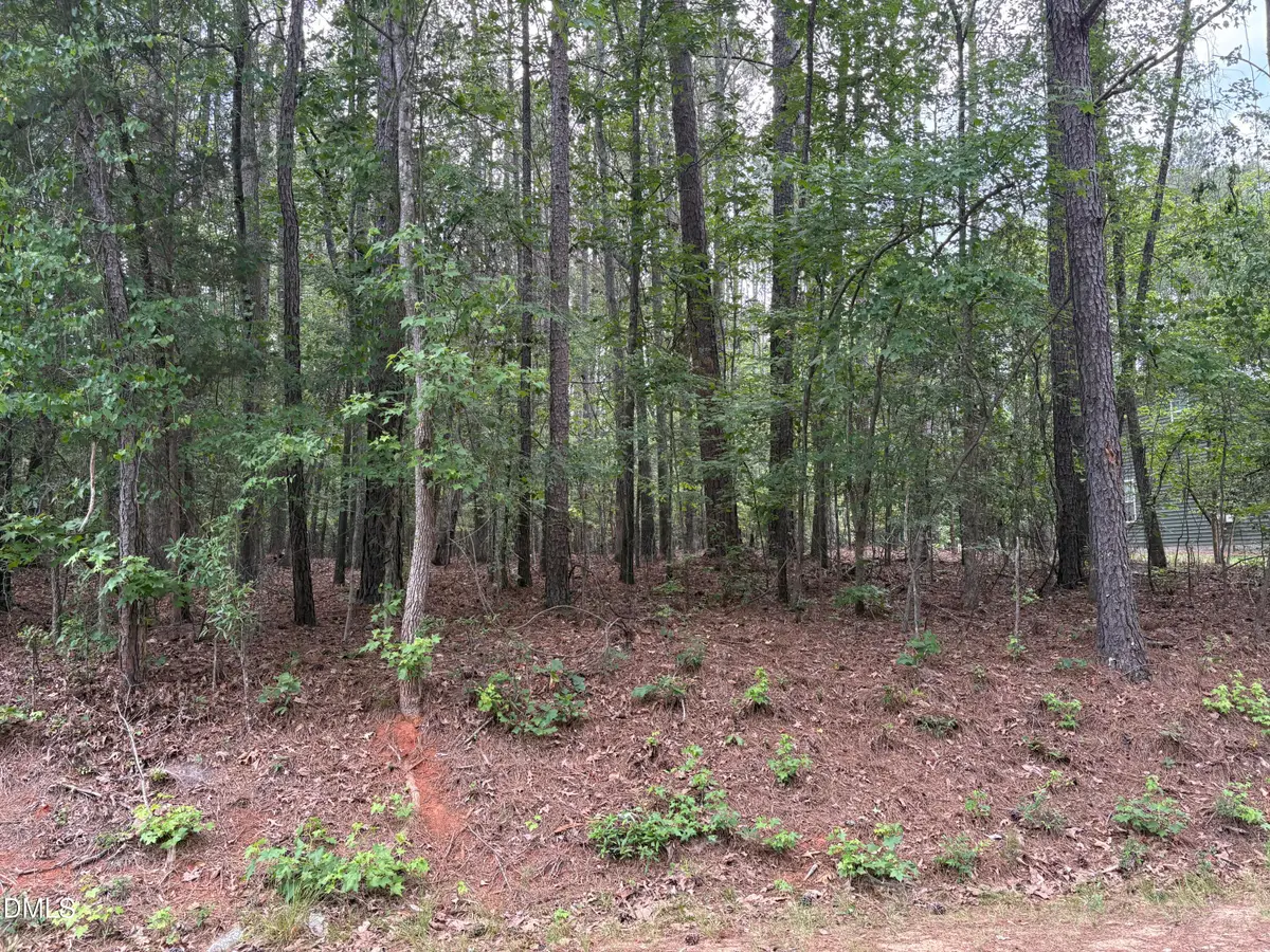 147 Sequoia Drive, Louisburg, NC 27549 - #1