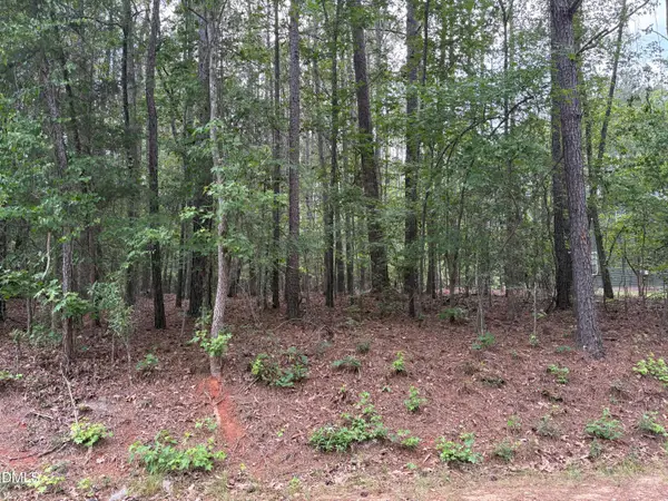 147 Sequoia Drive, Louisburg, NC 27549