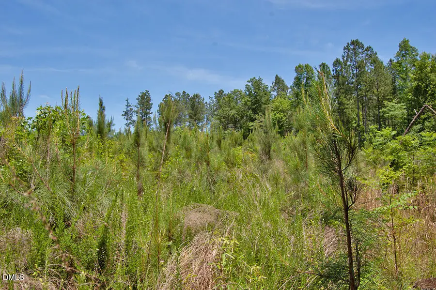 D G F Ball Road, Louisburg, NC 27549 - #3