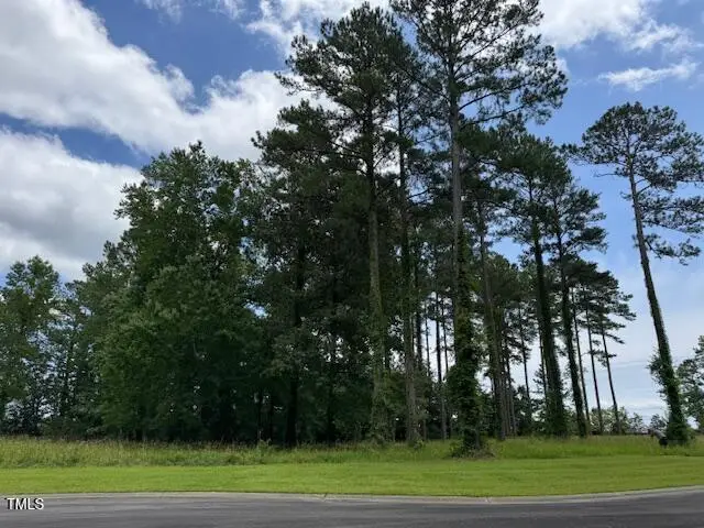 40 Currituck Circle, Oriental, NC 28571 - #2