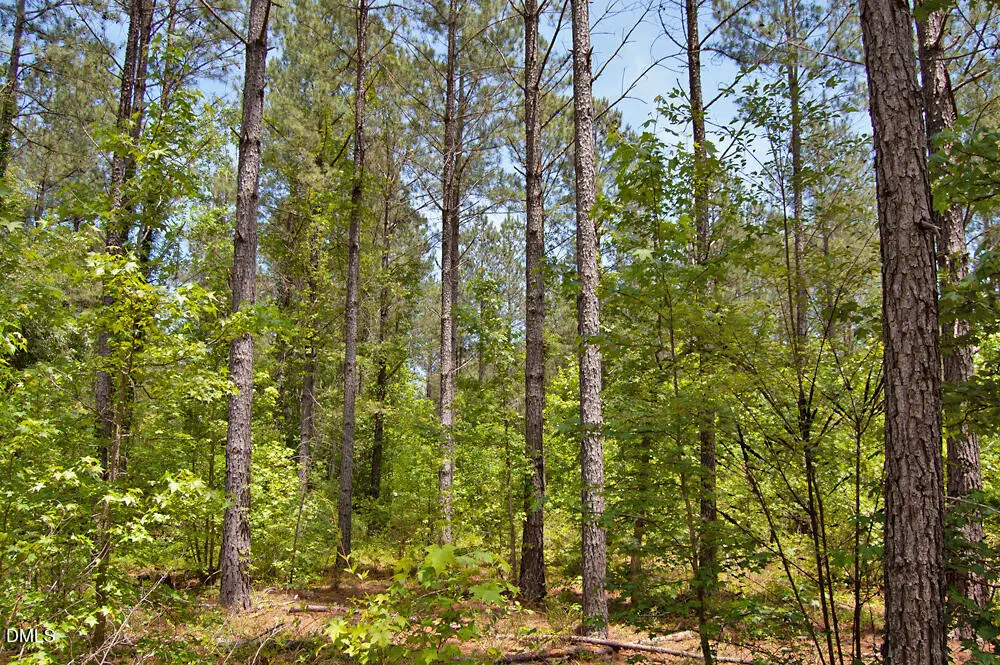 H G F Ball Road, Louisburg, NC 27549 - #1