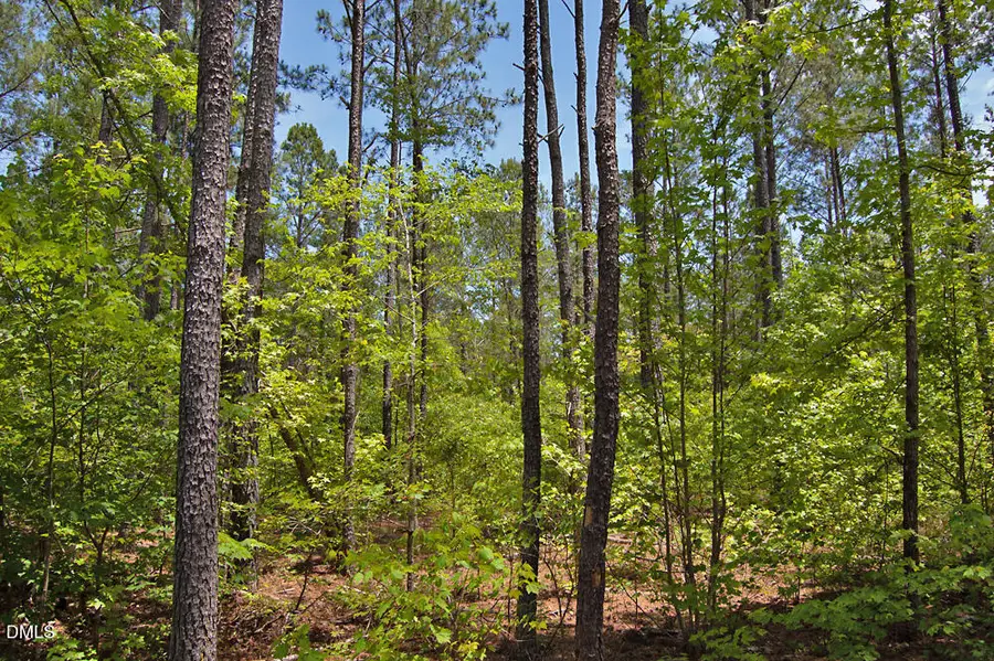 I G F Ball Road, Louisburg, NC 27549 - #3