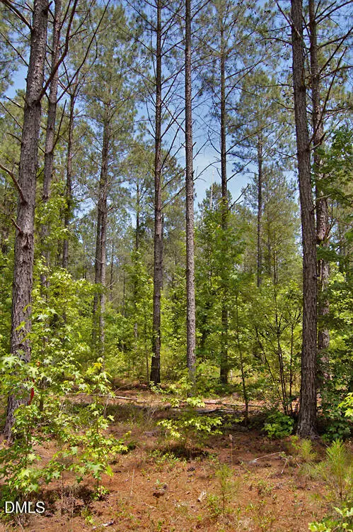 L G F Ball Road, Louisburg, NC 27549 - #3
