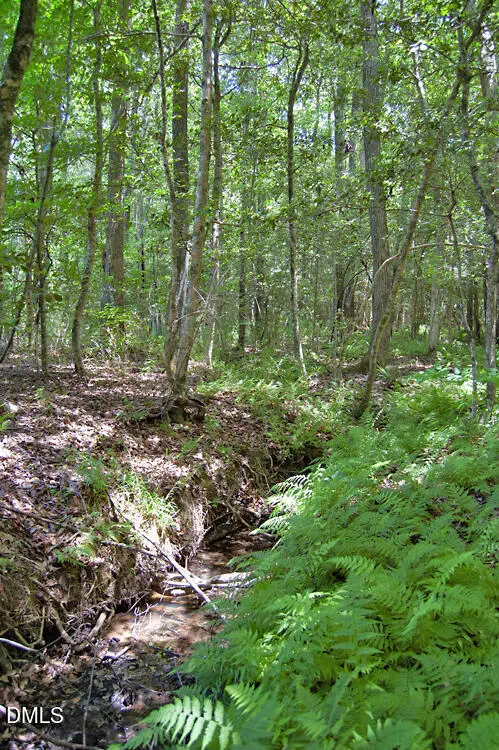 C G F Ball Road, Louisburg, NC 27549 - #3