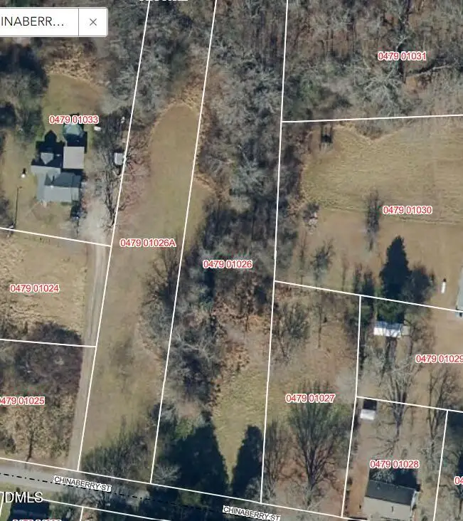 101 Chinaberry Street, Kittrell, NC 27544 - #1