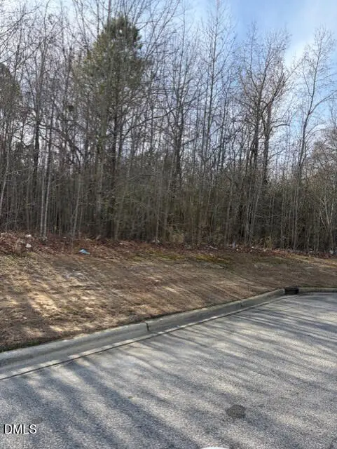 206 Hope Street, Erwin, NC 28339 - #3