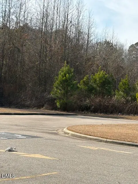 0 Saint Matthews Road, Erwin, NC 28339 - #3