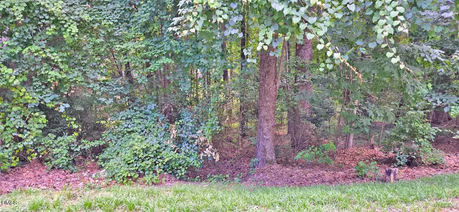 913 S Windrace Trail, Sanford, NC 27332 - #2