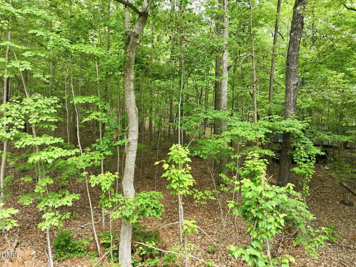 1841 Dots Drive, Hillsborough, NC 27278 - #1