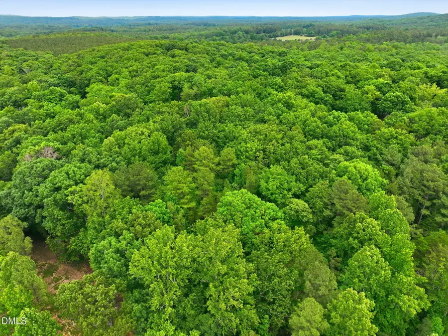 1841 Dots Drive, Hillsborough, NC 27278 - #3