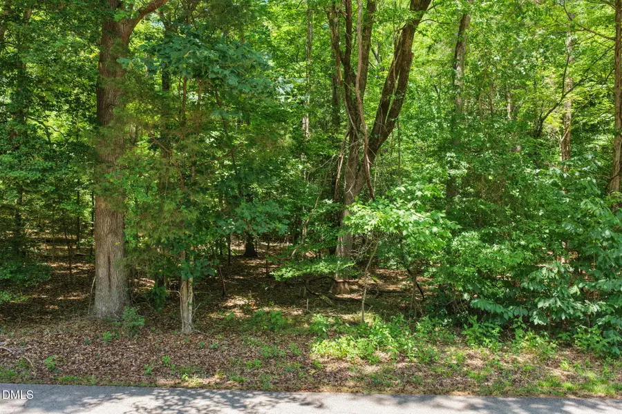 313 Lakepoint Drive, Clarksville, VA 23927 - #2