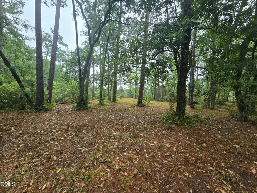 488 Bay Shores Road, Merritt, NC 28556 - #2