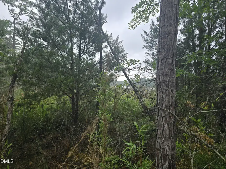 488 Bay Shores Road, Merritt, NC 28556 - #3