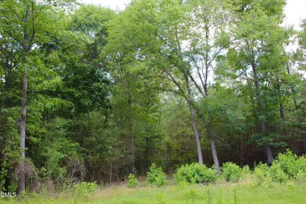 1920 Alston Chapel Road, Pittsboro, NC 27312