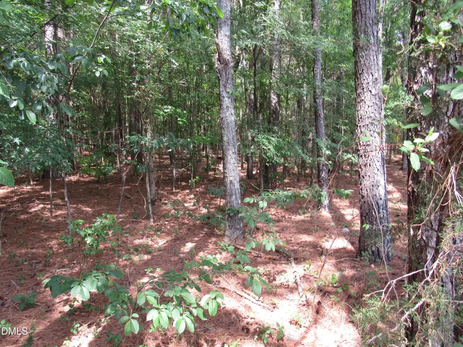 45 Mayodan Lane, Franklinton, NC 27525 - #2