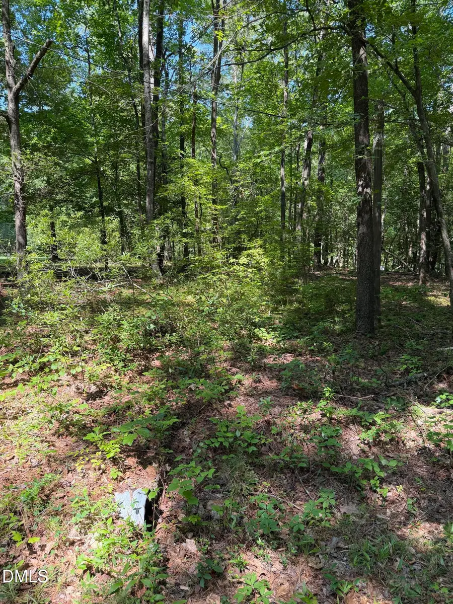 153 Omaha Drive, Louisburg, NC 27549 - #2