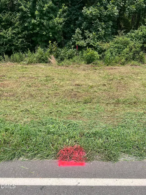Lot 3 Elmer Moore Road, Siler City, NC 27344