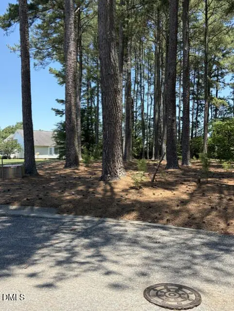 Lot 36 Ashley Lane, Dunn, NC 28334 - #1