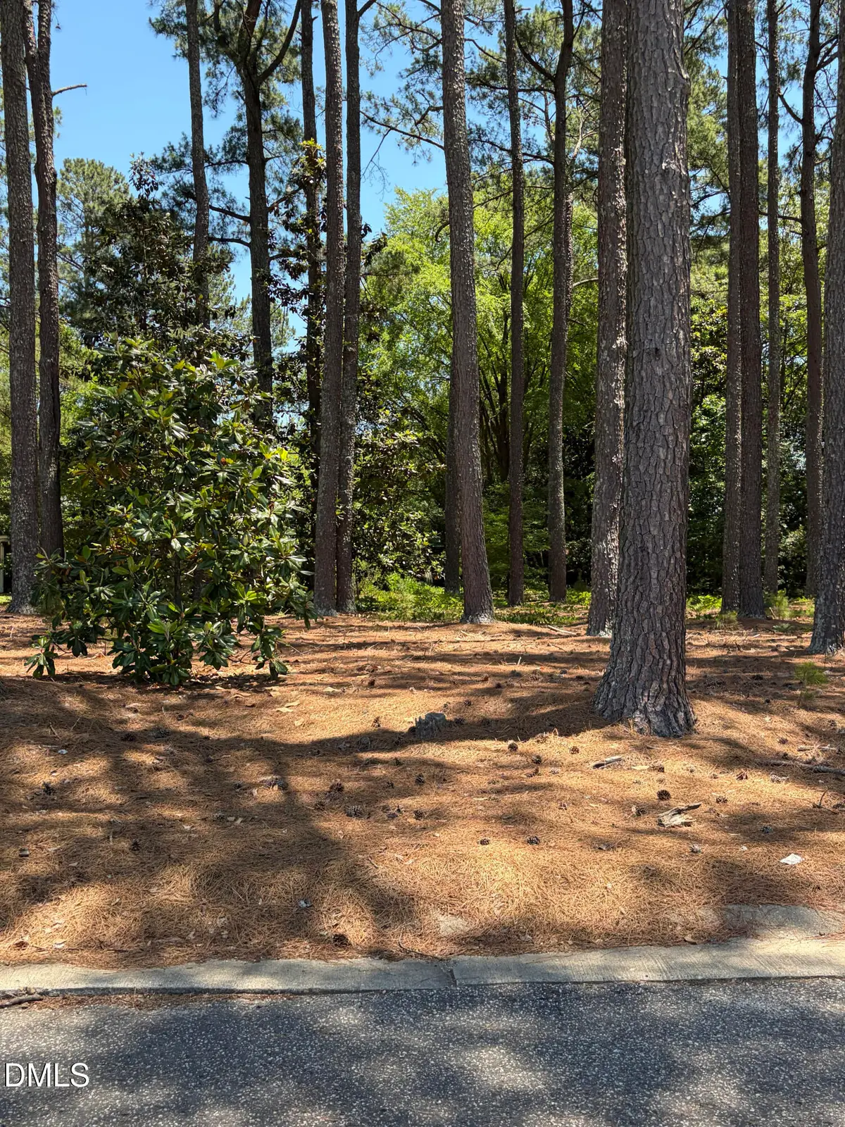 Lot 37 Ashley Lane, Dunn, NC 28334 - #1