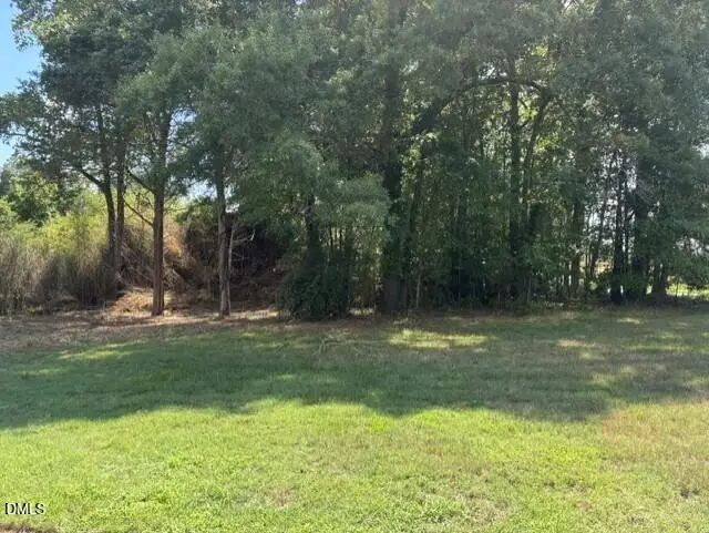 211 Colonial Avenue, Goldston, NC 27252 - #1