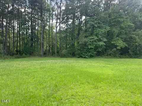 150 Happy Trails Drive, Angier, NC 27501 - #1