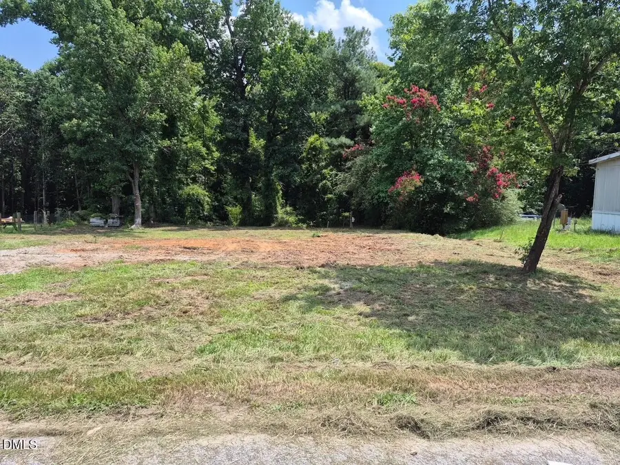 316 Morehead Drive, Willow Spring, NC 27592 - #2