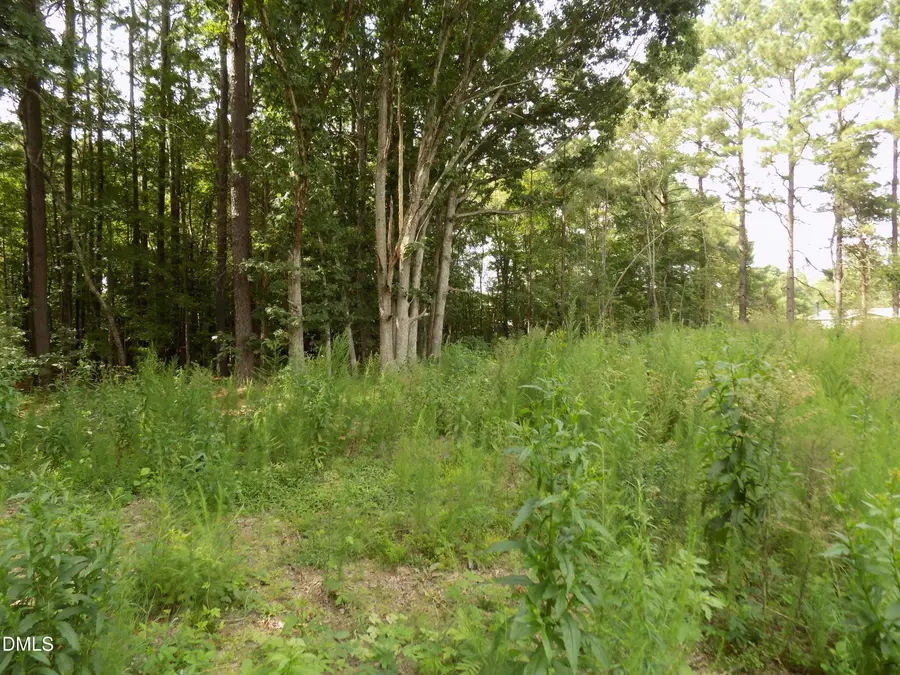 4013 Us 401, Louisburg, NC 27549 - #2