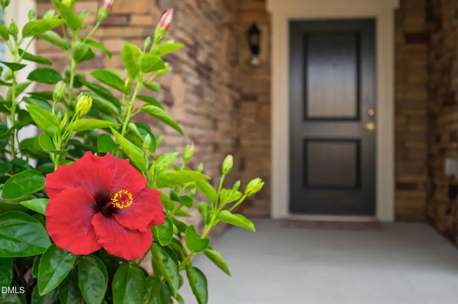1618 Vineyard Mist Drive, Cary, NC 27519 - #3