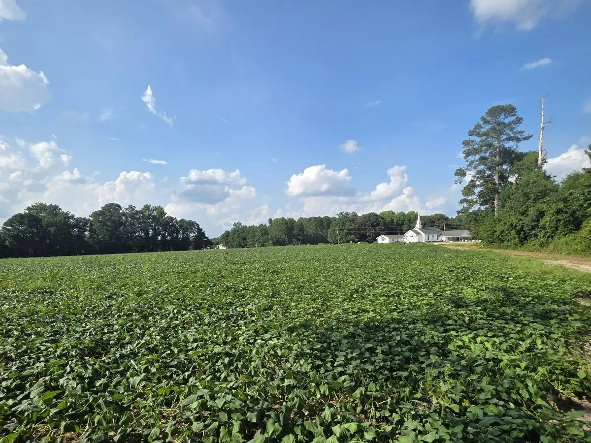0 Eldridge Road, Newton Grove, NC 28366 - #1