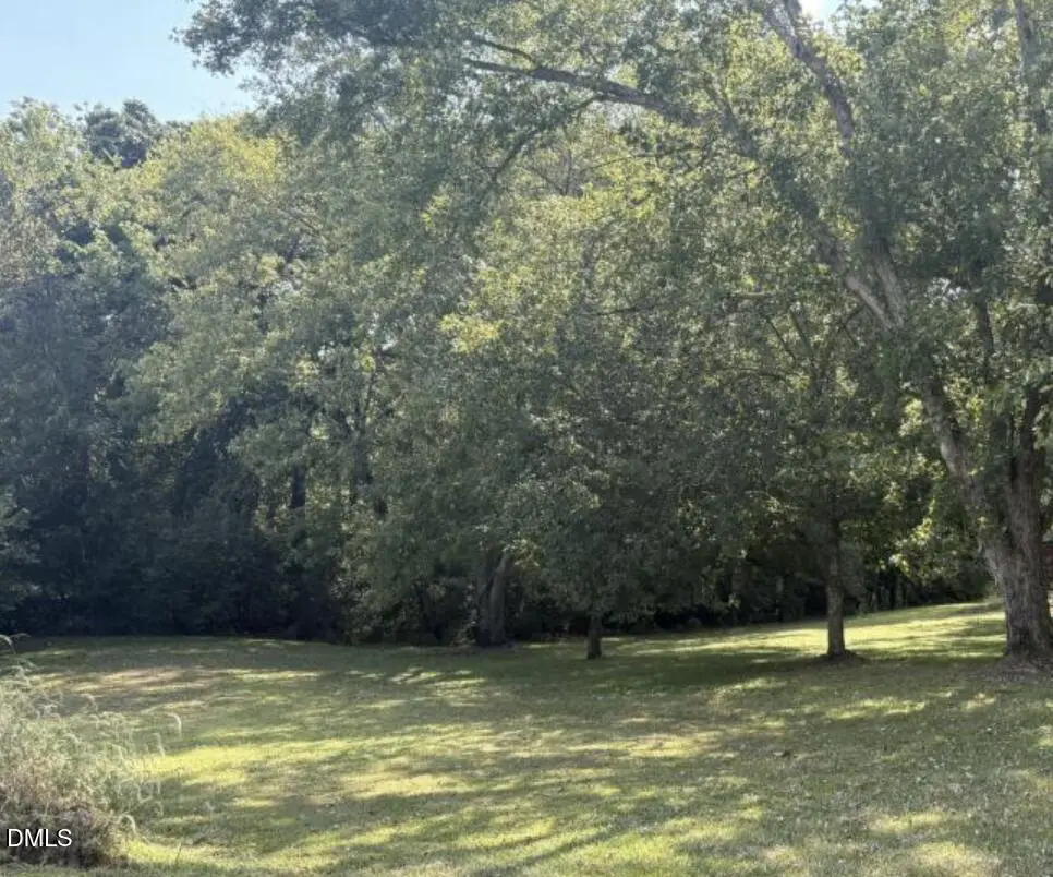 0 Winfred Brady Road, Bennett, NC 27208 - #1
