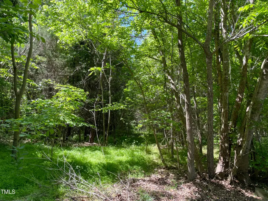 0 Thompson Mill Road, Graham, NC 27253 - #2