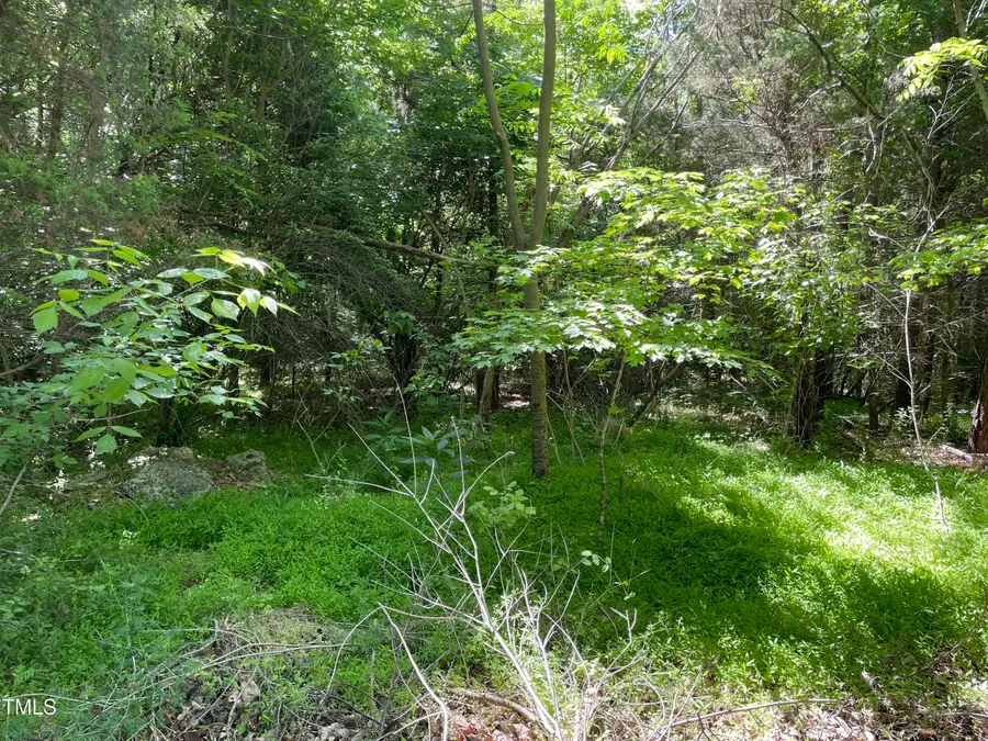 0 Thompson Mill Road, Graham, NC 27253 - #3