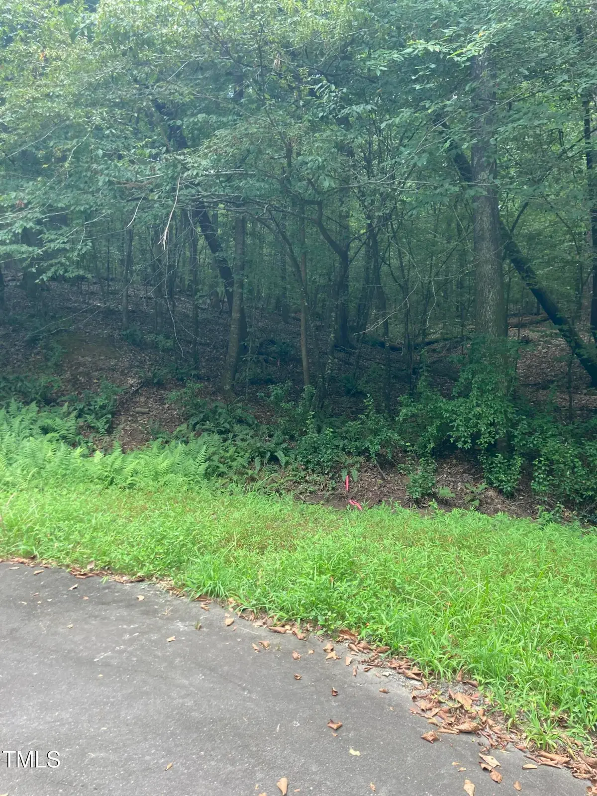 201 Lake Court, Chapel Hill, NC 27516 - #1