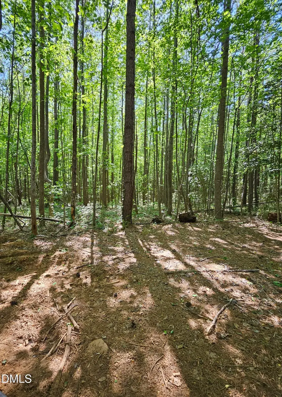 0 Crowder Road, Castalia, NC 27816 - #2