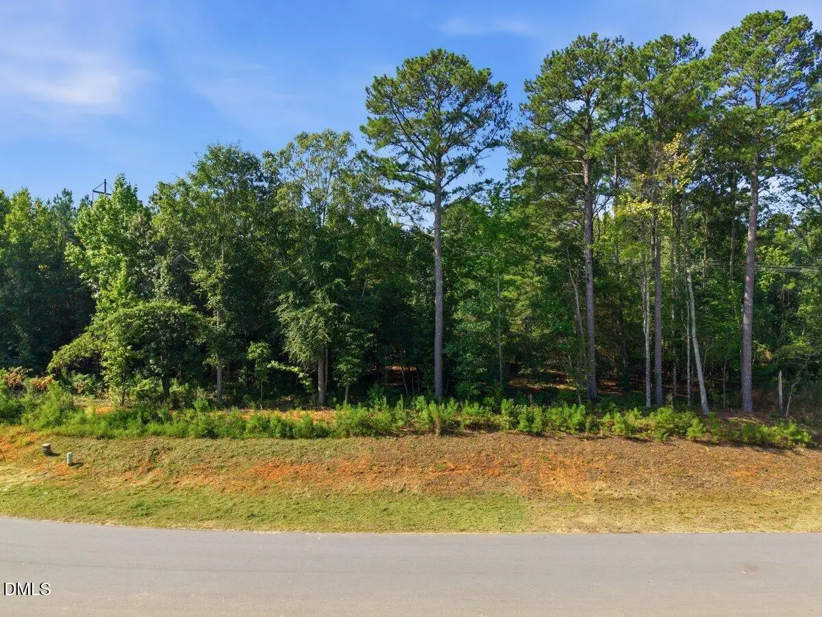 331 Meadow Walk Drive, Fuquay Varina, NC 27526 - #1