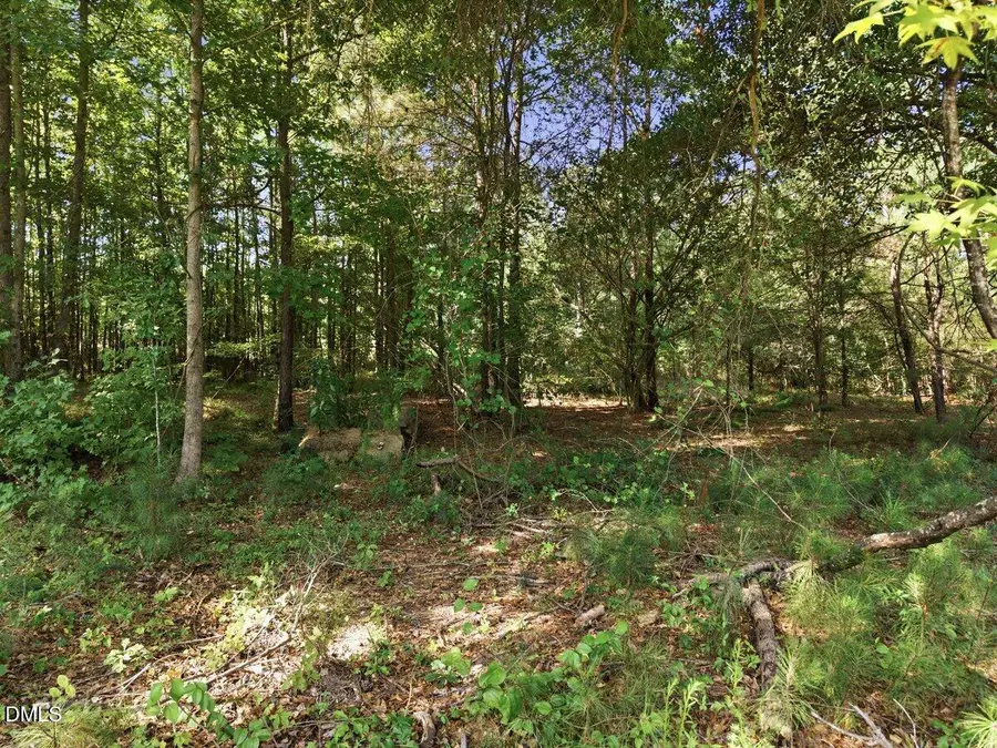 331 Meadow Walk Drive, Fuquay Varina, NC 27526 - #3