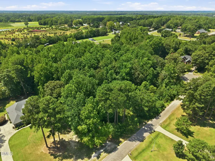 205 Teresa Court, Angier, NC 27501 - #2
